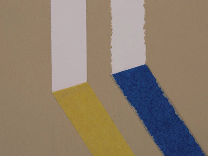 FrogTape® Delicate Surface Masking Tape 48mm x 41.1m